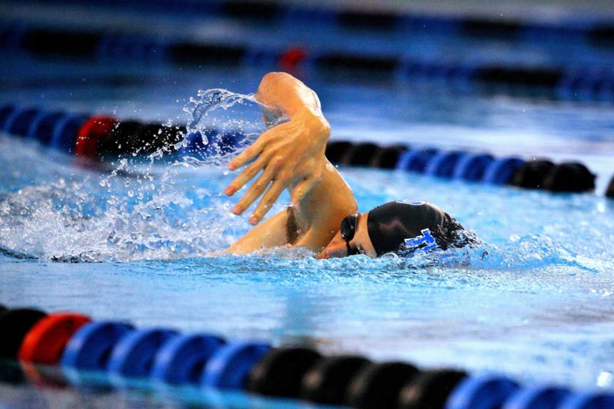 Championnats du monde de natation en direct 2024
