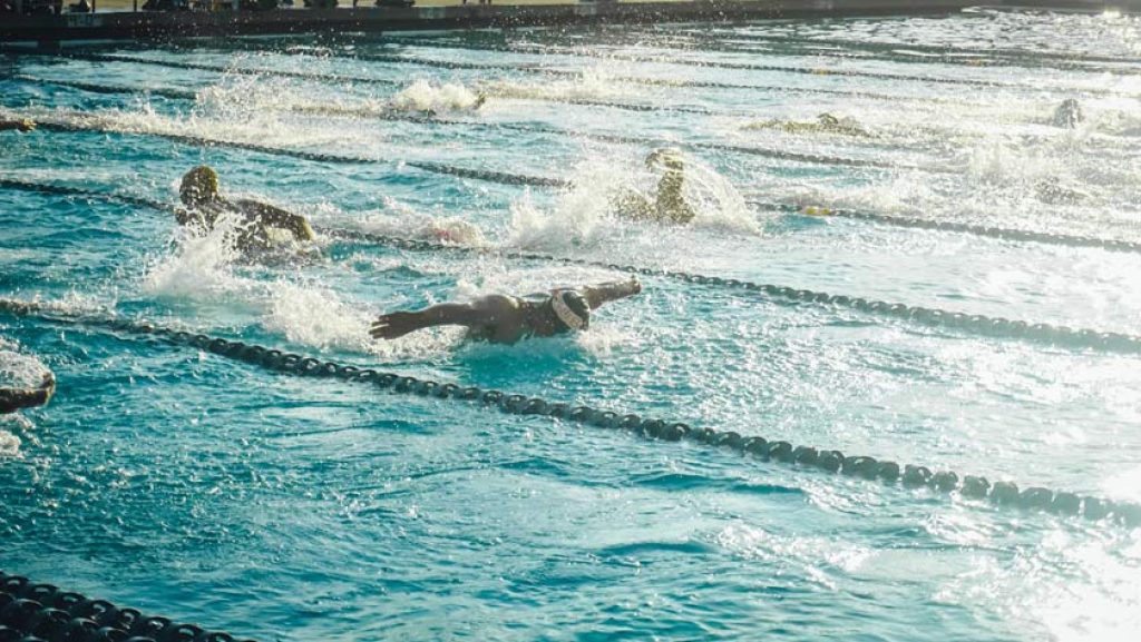 championnats du monde de natation en direct